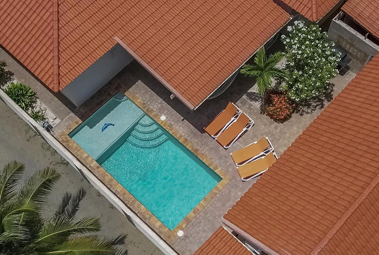 Villa Swiss Paradise With Private Pool Palm Beach